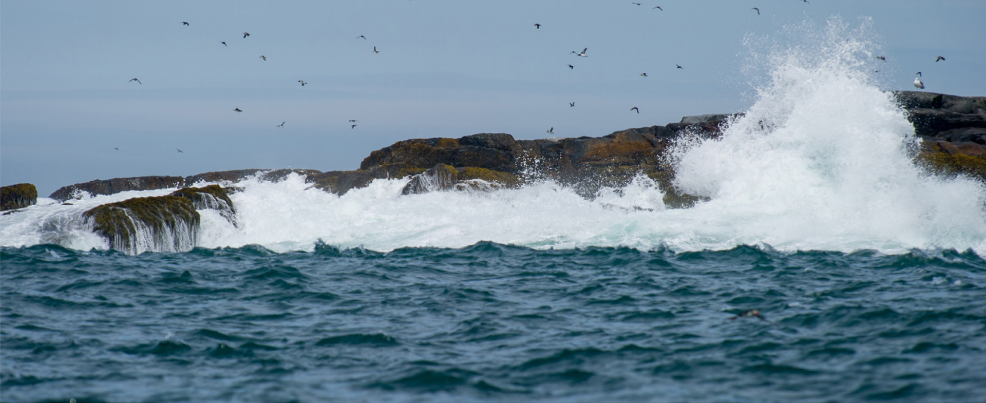 Waves splashing on Maine's rocky coast