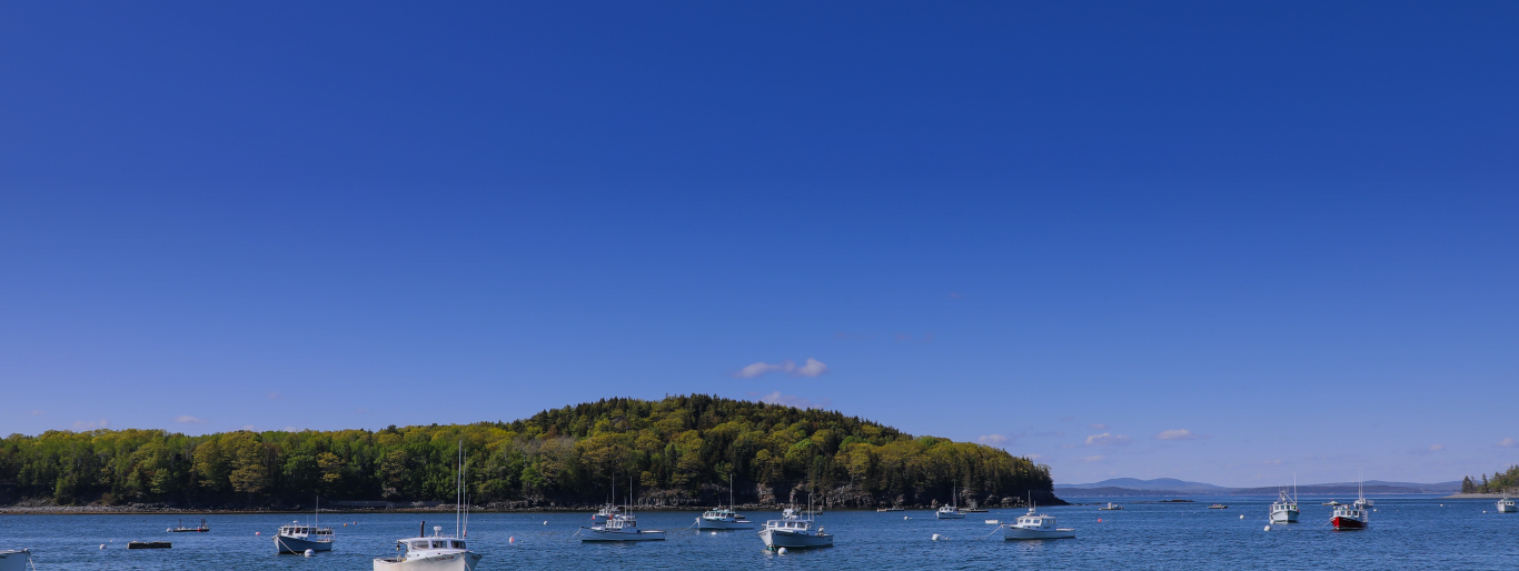Maine harbor with lobster boats